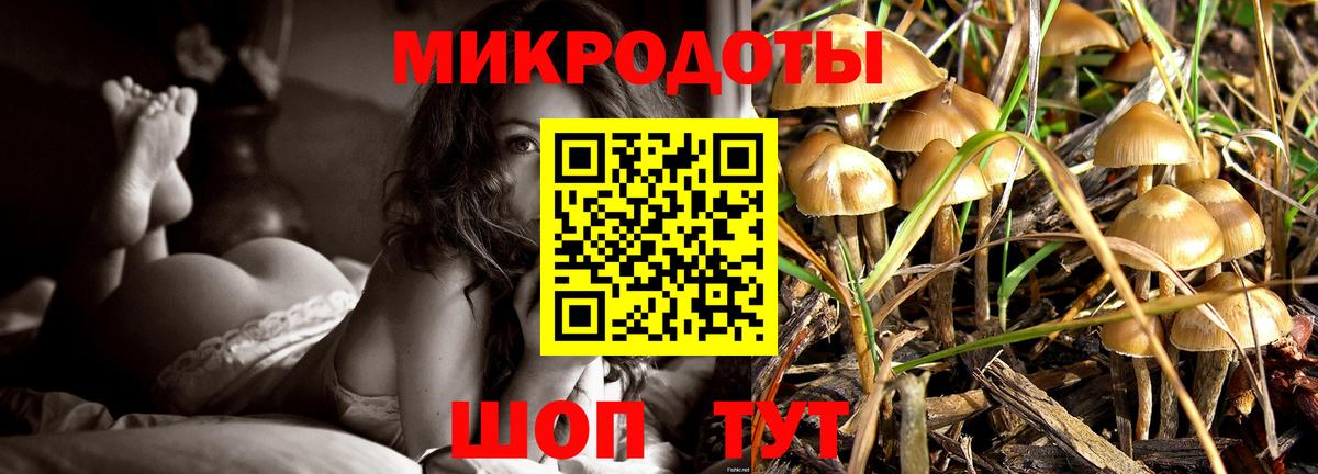 Рассказово  Галлюциногенные грибы мицелий  Вход с VPN 